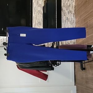 NWT Express 10L Extreme Stretch Blue Pants